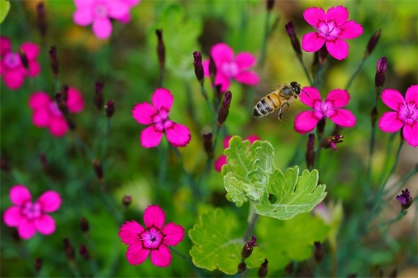 “阳了后”感冒咳嗽到怀疑人生搞笑语录