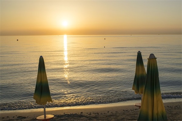 陈安之成功语录 陈安之成功的方法