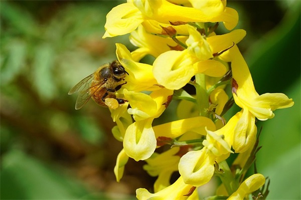 男人委屈的伤感语录 失去人的伤感说说
