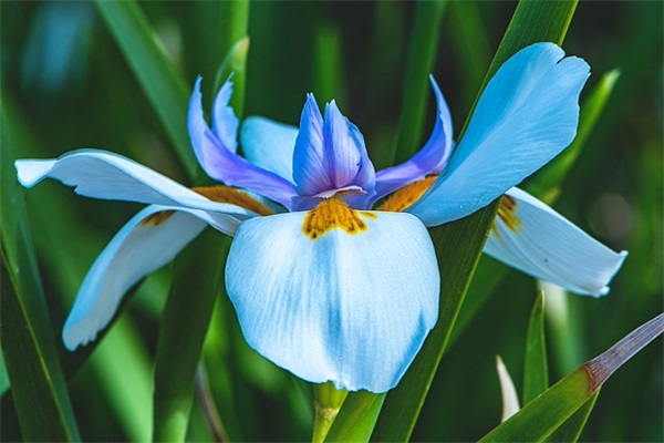 朋友圈点赞最多的语录