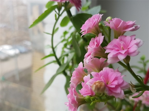 2026年非主流爱情语录