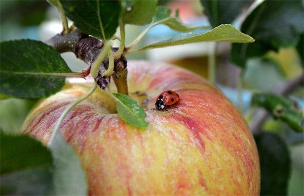 宝贝生病很心疼的说说(关于小孩生病大人心情语录)