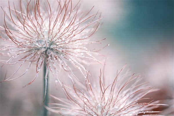 晚安温馨句子 晚安语录短句