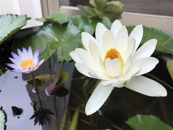 分手之后还想着你的伤感语录 分手之后还爱你