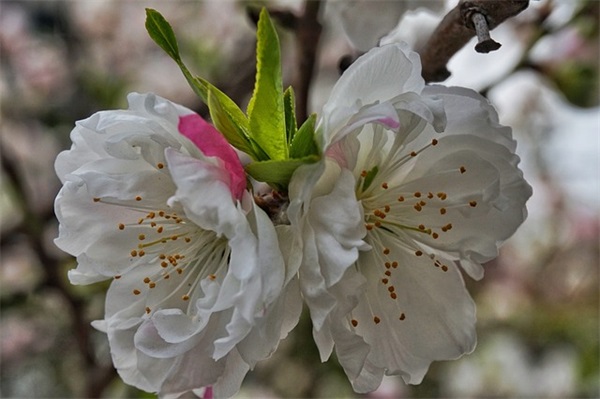 高考励志经典说说2026 高考励志语录