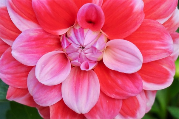 2026年简单的早安语录 全新的早安句子