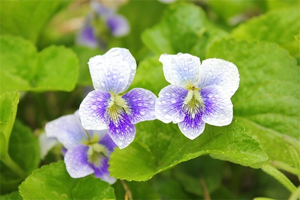 句句戳心值得收藏的金句  很励志的毒鸡汤经典语录,人生金句