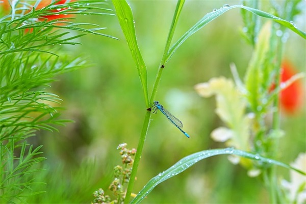 夜深人静想念人的伤感语录