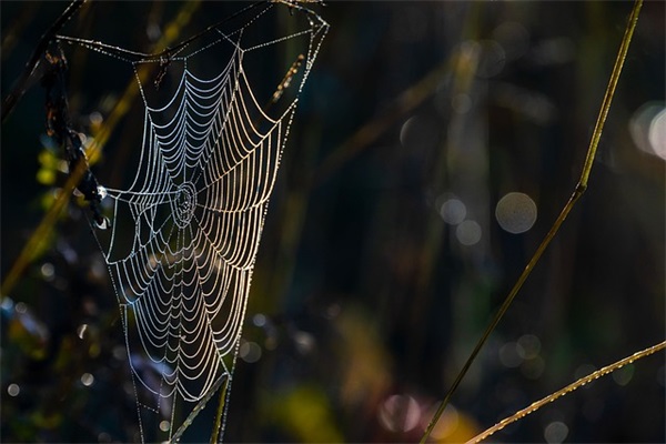 2026年最新爱情伤感语录72句