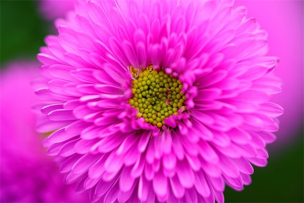 坏道经典语录29句