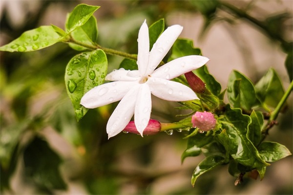 早上起来的经典励志语录 早上的语录