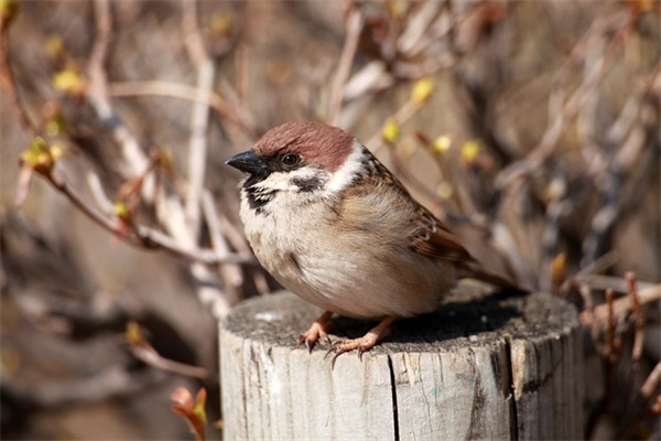 笑掉大牙的爆笑语录