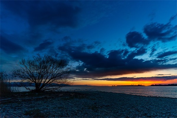 名人名言关于勤劳的经典语录