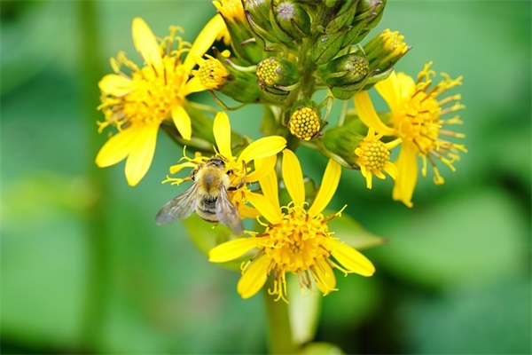 表白朋友圈语录句子