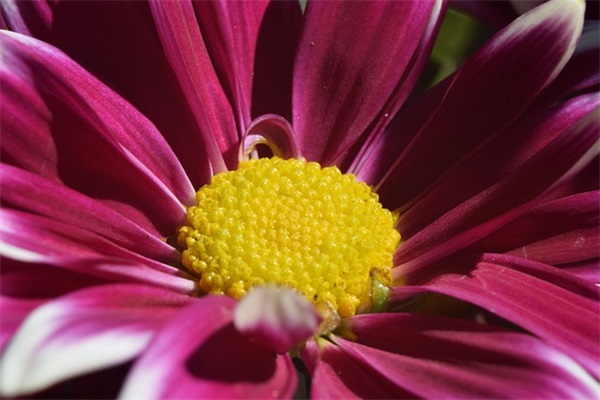 千年一叹经典语录44句