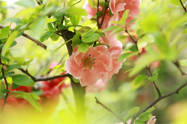 镇魂街名句经典语录 镇魂街震撼人心话语