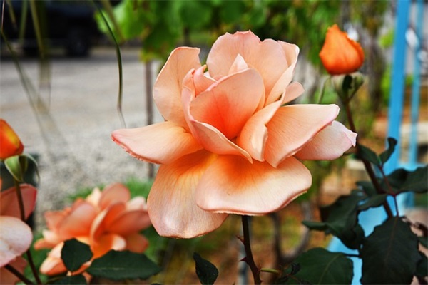 好好珍惜对你好的人经典语录