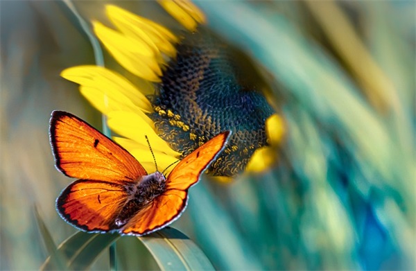励志的心灵鸡汤句子(鼓励人上进的心灵鸡汤语录)