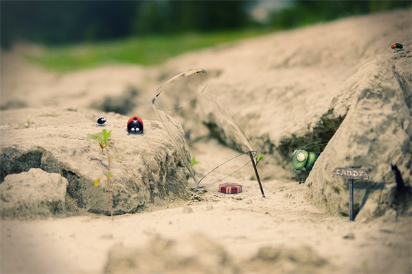 岛经典语录24句