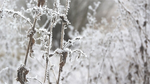 心情好的话语录2026