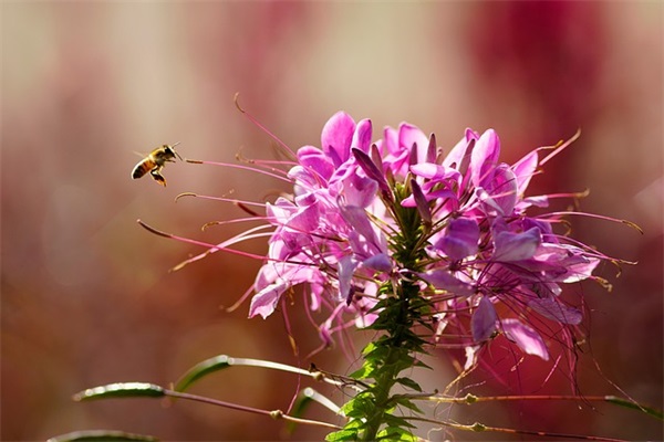 送给耍心机的人的语录 人心太假太虚伪的句子