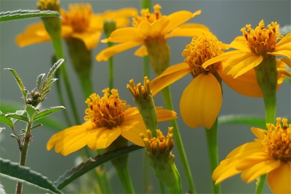 至虚伪朋友的经典语录