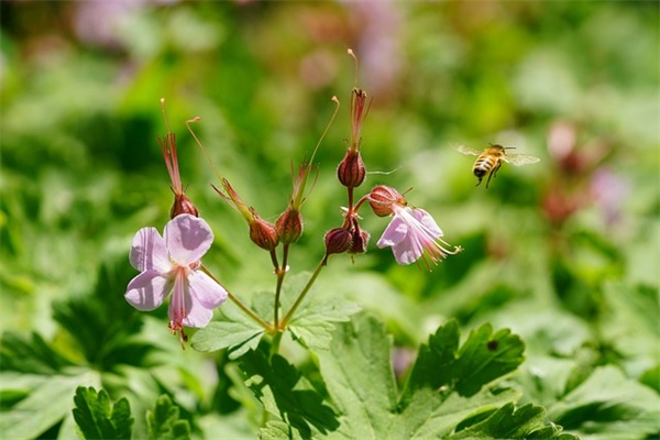 qq空间情感语录