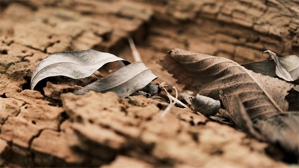 适合清晨发朋友圈的句子 早安语录励志短句