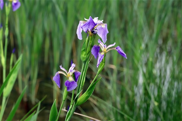 exo脑残粉语录40句