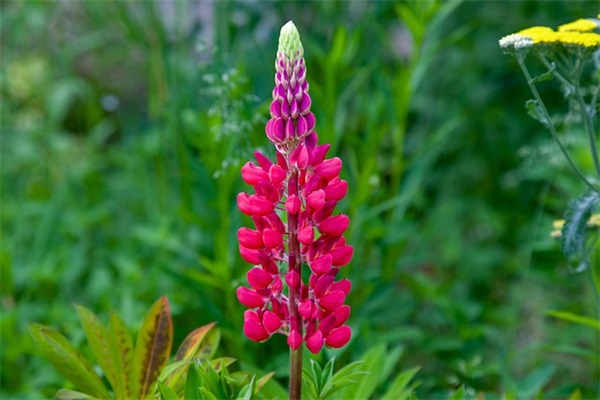 睡不着个性朋友圈语录文案大全