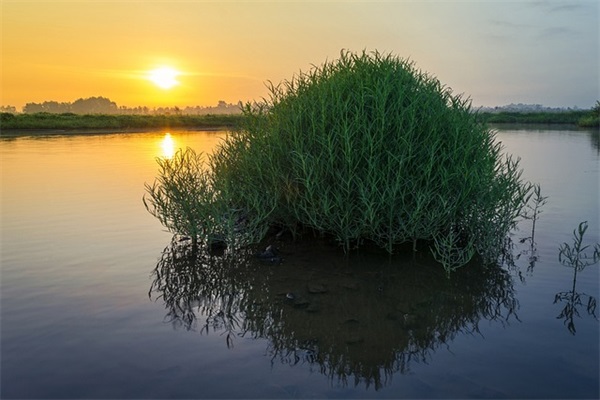 我的奋斗经典语录名句22句