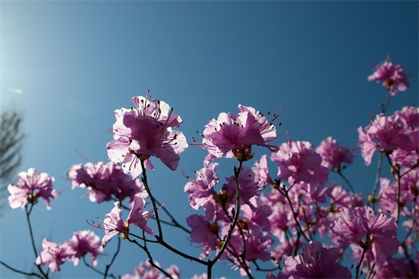 精致女人晚安励志语录 精致女人早安励志语录