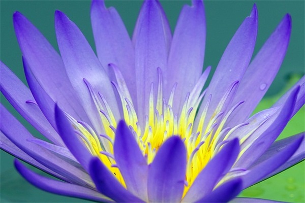 情感扎心短语伤感语录 情感扎心另类语录