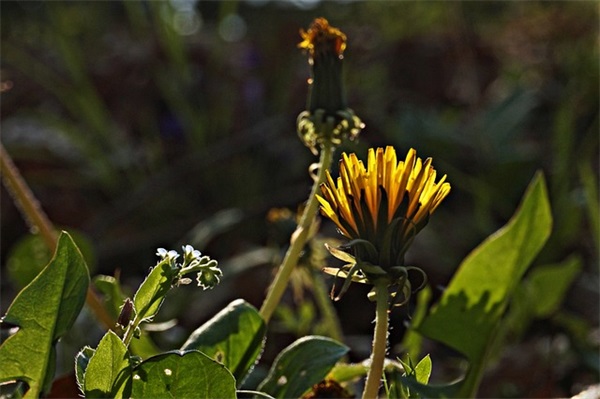 国家公祭日悼念英雄句子语录说说