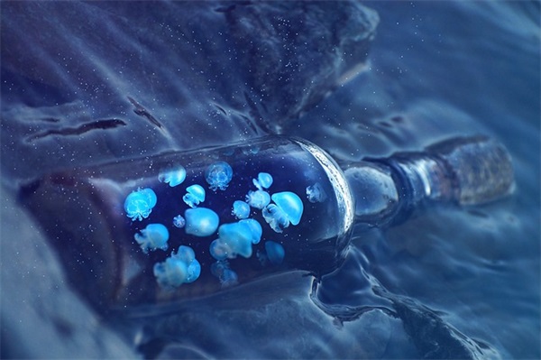 开学励志语录句子