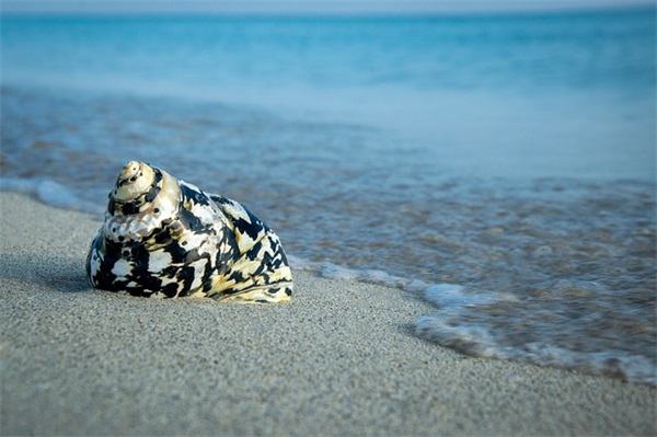 悟透人生的最高境界句子(人生最高境界一句话经典语录)