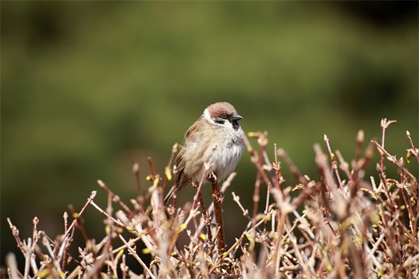 被朋友感动的说说心情语录