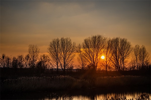女性励志情感语录