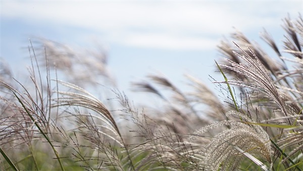熬夜毒鸡汤语录 每日语录毒鸡汤语录