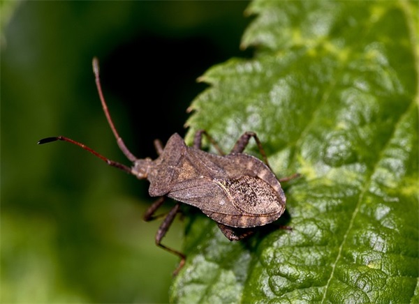 霸气无聊的句子 霸气十足的经典语录