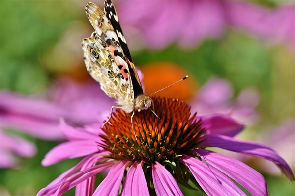《后来我们都哭了Ⅱ·废墟》小说经典语录摘抄