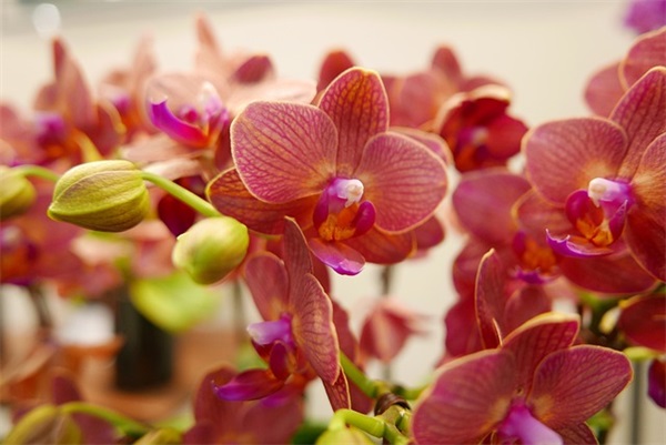 建筑大师经典语录 建筑大师语录