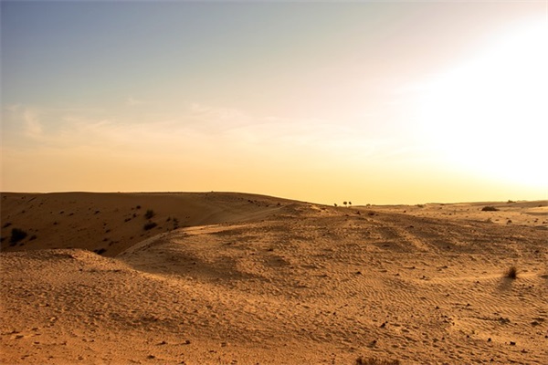 有关爱情的情感语录