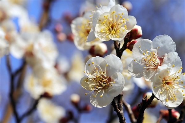 2026分手说说大全 伤感心情语录