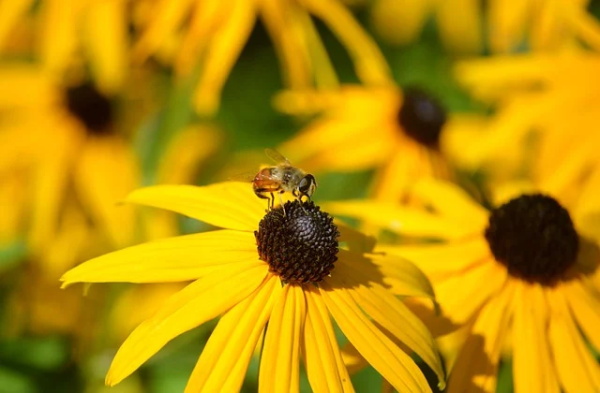 令人羡慕爱情语录