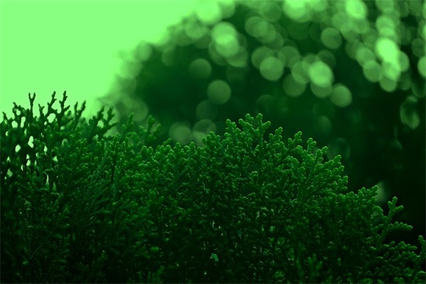 简洁的唯美心情的语录