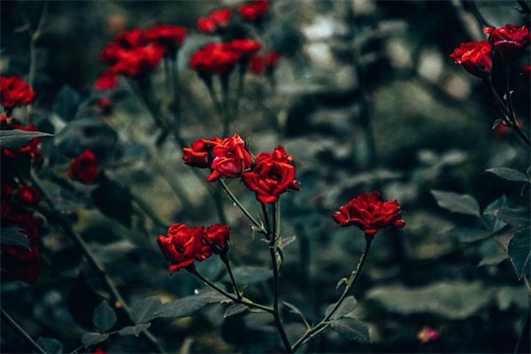 王阳明名言名句 王阳明语录