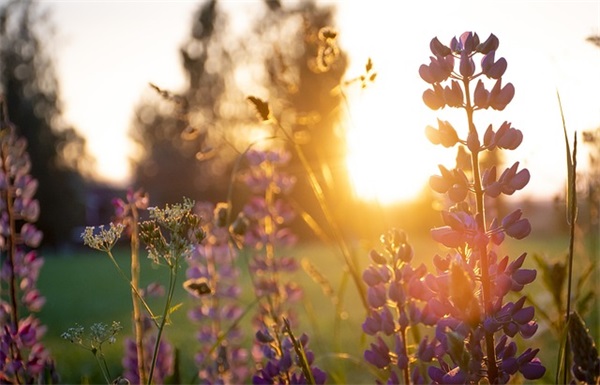 霸气语录女生 女人很拽的句子