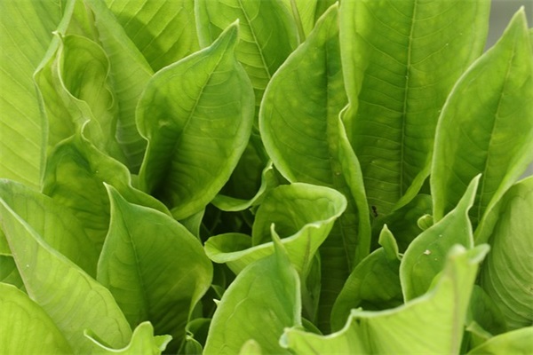 创业励志早安话经典语录