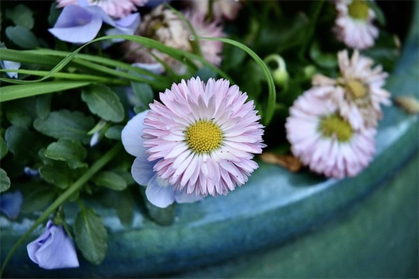 远大前程经典语录31句